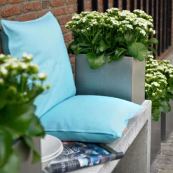 Kalanchoe 'Calandiva'®, Weiß, Topf-Ø 12 Cm, Höhe Ca. 27,5 Cm, 6er-Set 13 Kalanchoe 'Calandiva'®, Weiß, Topf-Ø 12 Cm, Höhe Ca. 27,5 Cm, 6er-Set -Garten Saat Verkäufe 0210350168 Kalanchoe Cal weiss2