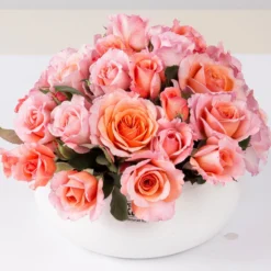 Stammrose 'Käthchen Von Heilbronn'®, Edelrose, Stammhöhe 60cm Im 7,5 Liter Topf -Garten Saat Verkäufe 0460100700 KB Kaethchen von Heilbronn Edelrose Co 6lt1 65417