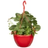 Erdbeere 'Fragoo® Toscana', Frühreif & öftertragend, Ampeltopf-Ø 27 Cm -Garten Saat Verkäufe 0480910279 Toscana Erdbeerampel 27er Topf 1 111239