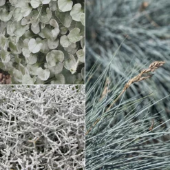 Mixtopf 'Silberstruktur', 3er-Set, Grau-silber, Topf 13 Cm Ø -Garten Saat Verkäufe 0610180261 0610180262 Mixtopf Mixschale Silberstruktur 95076