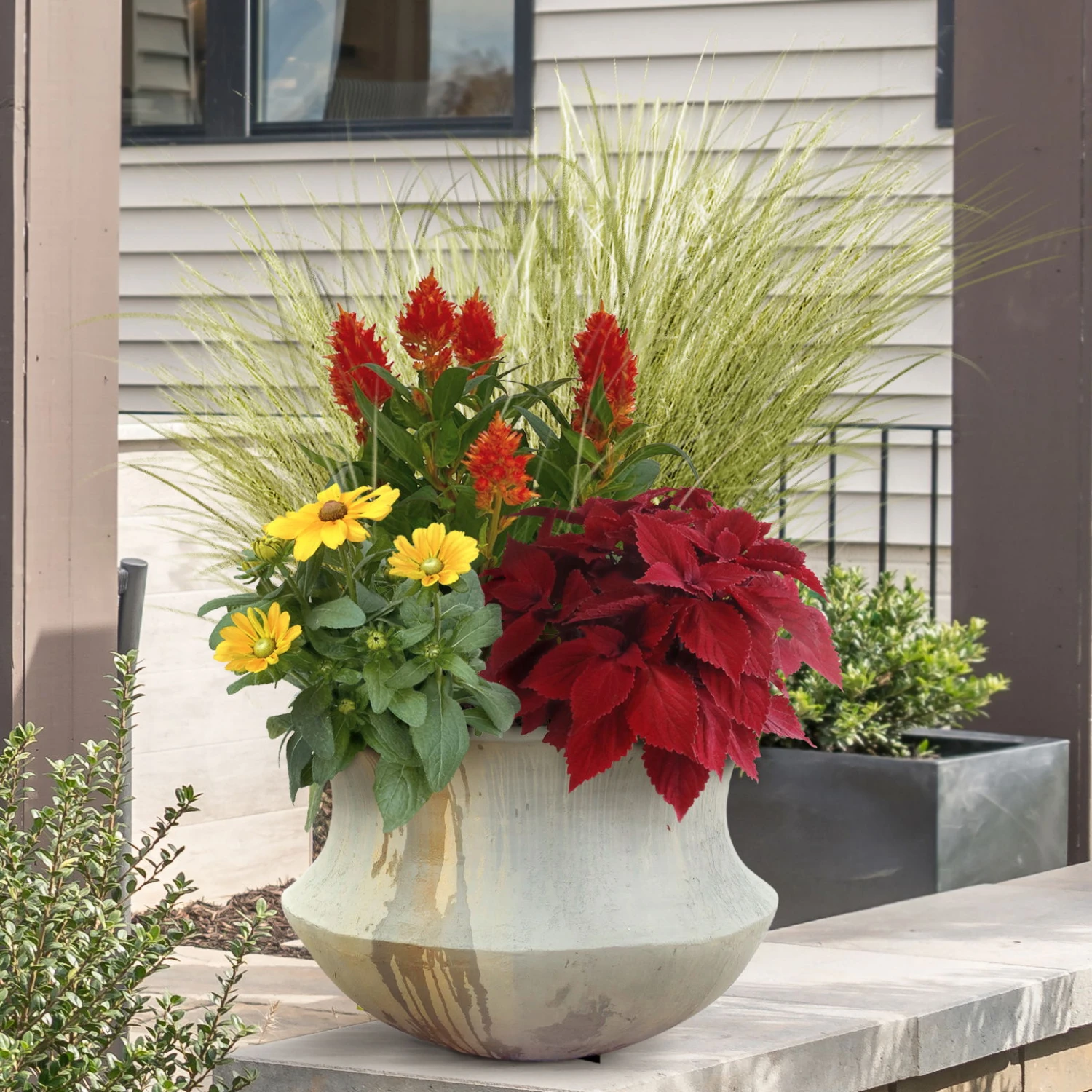 Pflanzenset 'Spätsommer-Gold' Gelb-orange, Topf-Ø 12 Cm, 4er-Set 3 Pflanzenset 'Spätsommer-Gold' Gelb-orange, Topf-Ø 12 Cm, 4er-Set