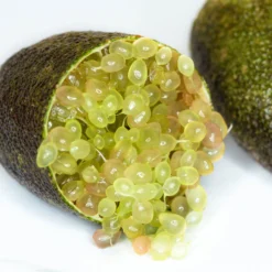 Fingerlimette, Topf-Ø 20 Cm, Höhe Ca.60 Cm 10 Fingerlimette, Topf-Ø 20 Cm, Höhe Ca.60 Cm -Garten Saat Verkäufe 0630100735 Citrus australasica Stamm T20 H60 70 WS 2 98315