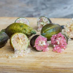 Fingerlimette, Topf-Ø 20 Cm, Höhe Ca.60 Cm 11 Fingerlimette, Topf-Ø 20 Cm, Höhe Ca.60 Cm -Garten Saat Verkäufe 0630100735 Citrus australasica Stamm T20 H60 70 WS 4 98316