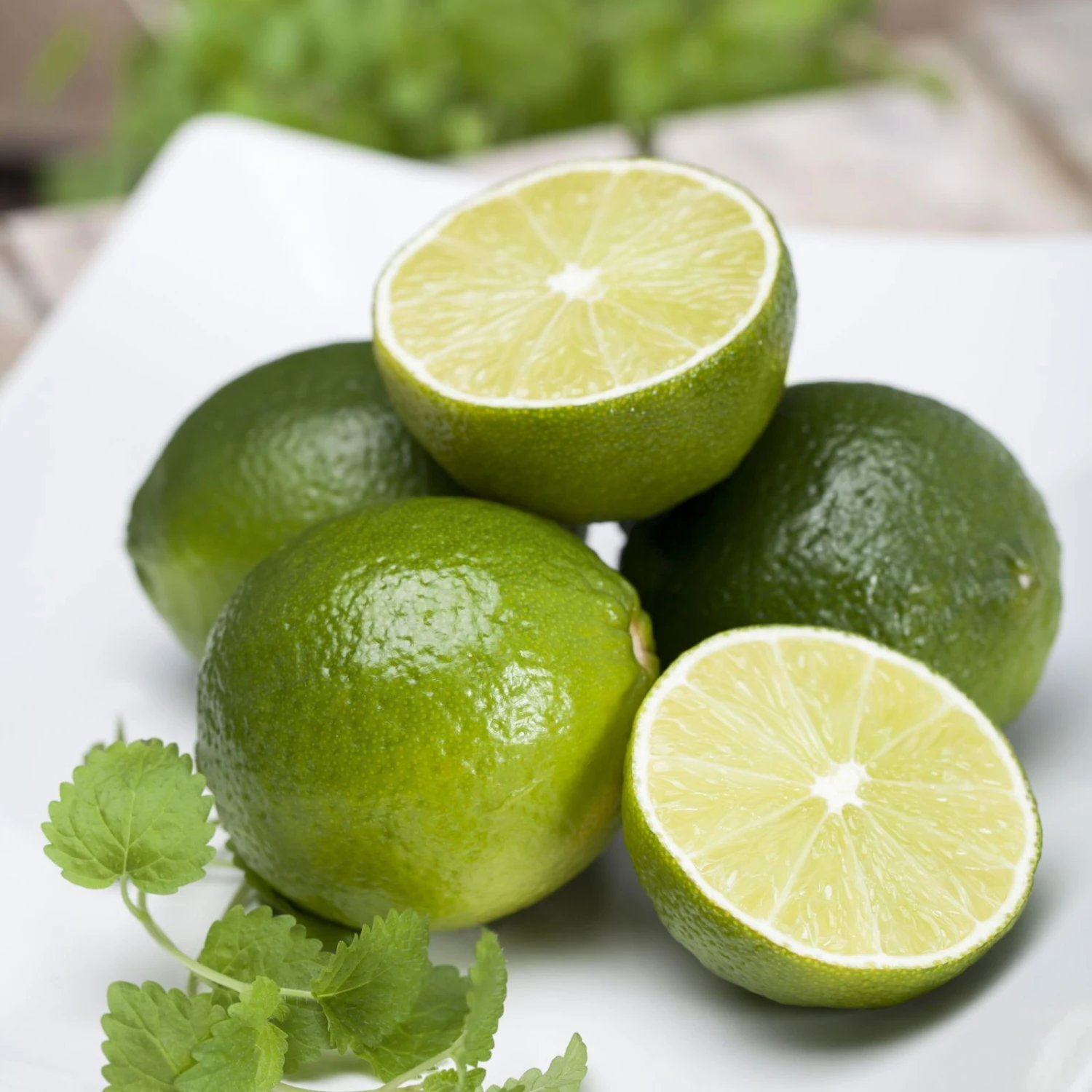 Echter Limettenbaum, Stamm, Topf-Ø 20 Cm, Höhe Ca. 60 Cm 5 Echter Limettenbaum, Stamm, Topf-Ø 20 Cm, Höhe Ca. 60 Cm – Bild 3