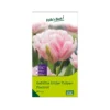 Tulpen 'Foxtrott', Rosa, 40 Blumenzwiebeln 2 Tulpen 'Foxtrott', Rosa, 40 Blumenzwiebeln -Garten Saat Verkäufe 0720100846 KB Gefuellte fruehe Tulpen Foxtrot rosa 107153