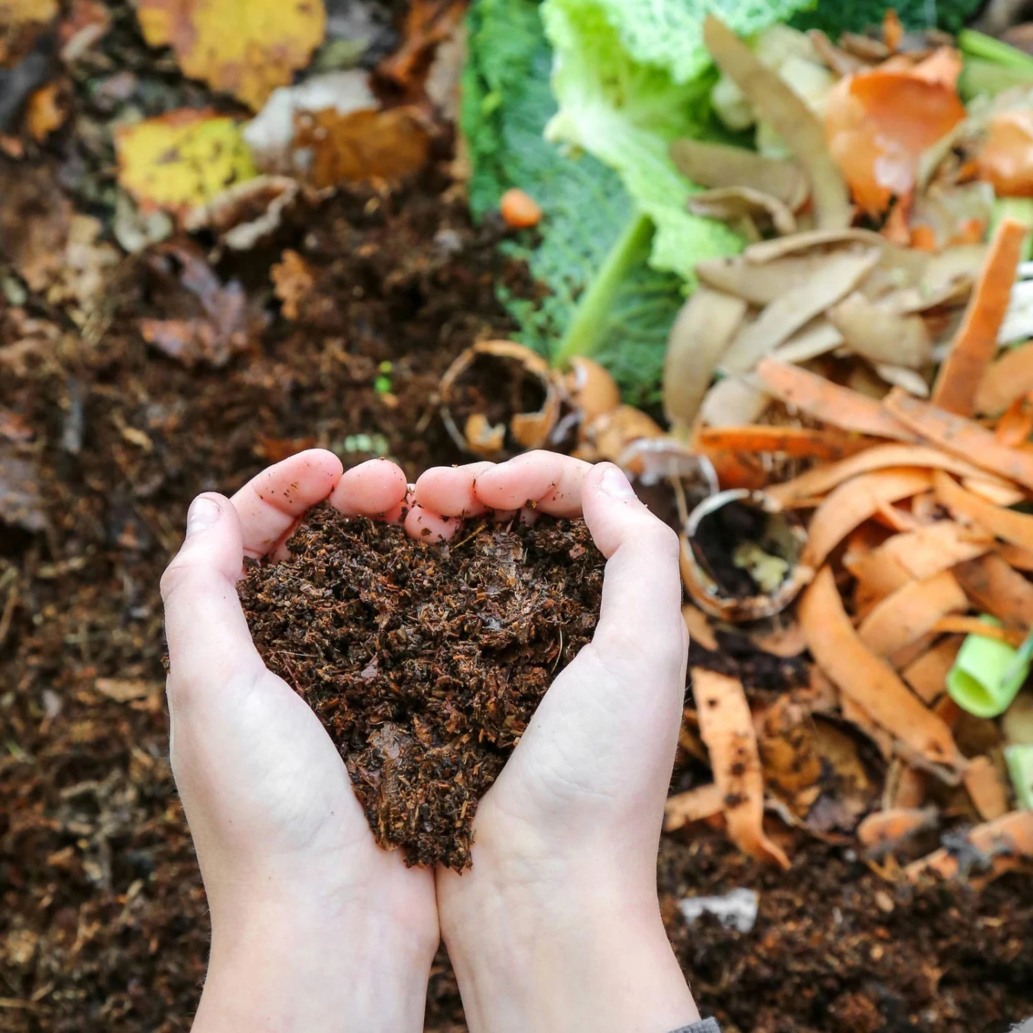 Thermokomposter DuoTherm 530 L 4 Thermokomposter DuoTherm 530 L – Bild 2