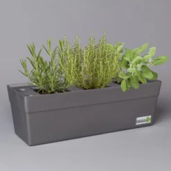 Garten Saat Verkäufe 12 Grillkräuter Salbei, Rosmarin & Thymian, Topf 11x11 Cm, Inkl. Greenbar®