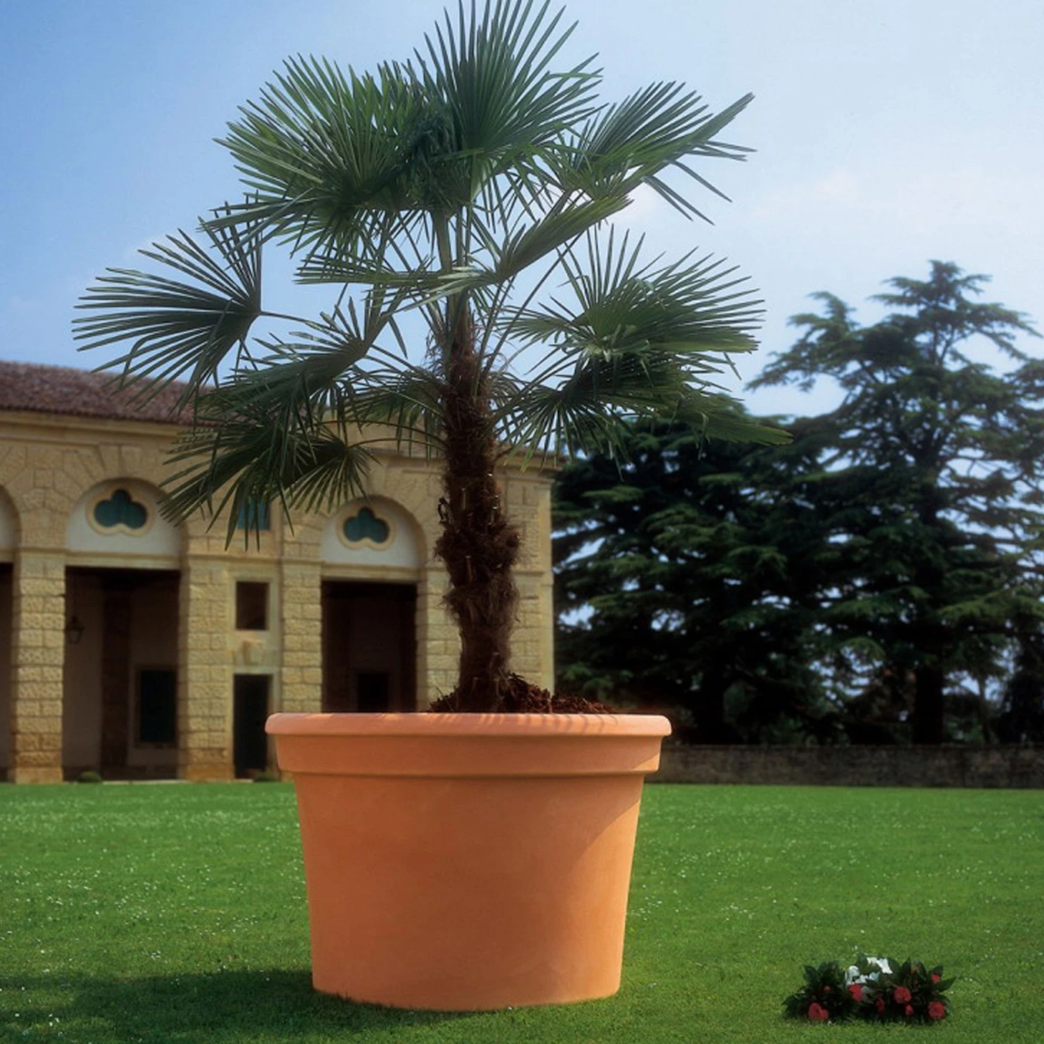 Euro 3 Plast Pflanzkübel "Cilindro" Terra, Ø Ca. 50 Cm, Erdvol. 50 L 3 Euro 3 Plast Pflanzkübel "Cilindro" Terra, Ø Ca. 50 Cm, Erdvol. 50 L