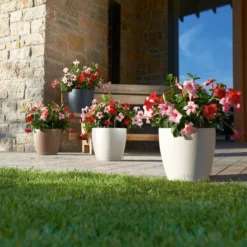 LECHUZA Pflanztopf 'Classico Color 60', Weiß, Ø 60 X H 55,5 Cm -Garten Saat Verkäufe 3210103918 Pflanzgefaess Classico Color 60 All in 1 weiss 3 109195