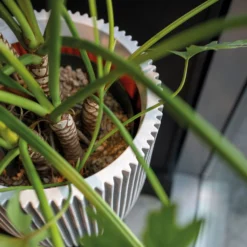 Pflanzgefäß 'Groove', Elfenbein, Ø 35 X H 34 Cm -Garten Saat Verkäufe 3210104106 3210104107 3210104108 pflanzgefaess pflanzvase groove 116896