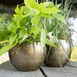 Pflanzgefäß 'Rowen', Gold, Ø 22 X H 17 Cm -Garten Saat Verkäufe 3210801609 Pflanzgefaess Rowen gold D 22 x H 17 cm 1 114969