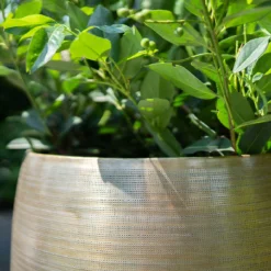 Pflanzgefäß 'Rowen', Gold, Ø 50 X H 47 Cm -Garten Saat Verkäufe 3210801623 Pflanzgefaess Rowen gold D 50 x H 47 cm 2 114994