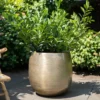 Pflanzgefäß 'Rowen', Gold, Ø 50 X H 47 Cm -Garten Saat Verkäufe 3210801623 Pflanzgefaess Rowen gold D 50 x H 47 cm 3 114995