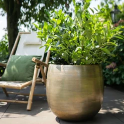 Pflanzgefäß 'Rowen', Gold, Ø 50 X H 47 Cm -Garten Saat Verkäufe 3210801623 Pflanzgefaess Rowen gold D 50 x H 47 cm 4 114996