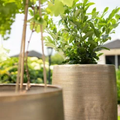 Pflanzgefäß 'Rowen', Gold, Ø 38 X H 62 Cm -Garten Saat Verkäufe 3210801630 3210801631 3210801632 3210801633 Pflanzgefaess Rowen gold 2 115015