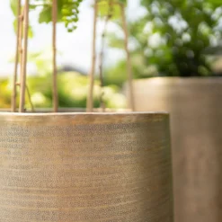 Pflanzgefäß 'Rowen', Gold, Ø 38 X H 62 Cm -Garten Saat Verkäufe 3210801630 3210801631 3210801632 3210801633 Pflanzgefaess Rowen gold 3 115016