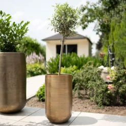 Pflanzgefäß 'Rowen', Gold, Ø 38 X H 62 Cm -Garten Saat Verkäufe 3210801630 3210801631 3210801632 3210801633 Pflanzgefaess Rowen gold 4 115017