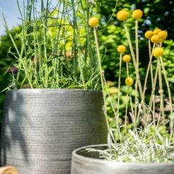 Pflanzgefäß 'Rowen', Silber, Ø 38 X H 62 Cm -Garten Saat Verkäufe 3210801635 3210801636 3210801637 3210801638 Pflanzgefaess Rowen silber 12 115029