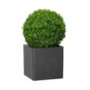Pflanztrog IQ Dutch Spencer, Schwarz, L 25 X B 25 X H 25 Cm 1 Pflanztrog IQ Dutch Spencer, Schwarz, L 25 X B 25 X H 25 Cm -Garten Saat Verkäufe 3230101068 3230101069 3230101070 3230101071 Pflanztrog iQ Dutch Spencer schwarz4 78735