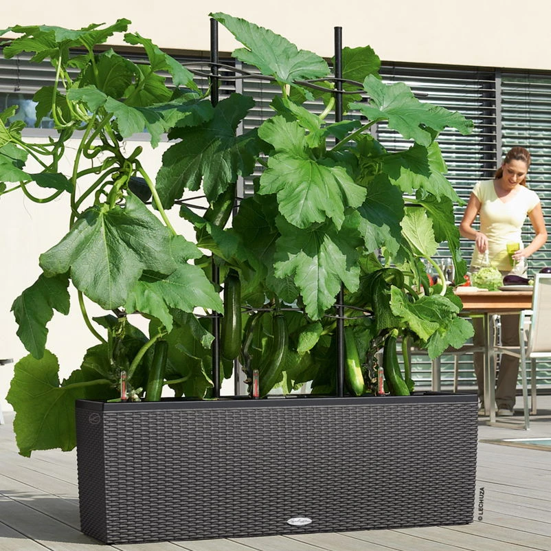 Lechuza Trio Cottage 30, Granit, All-in-One-Set 3 Lechuza Trio Cottage 30, Granit, All-in-One-Set