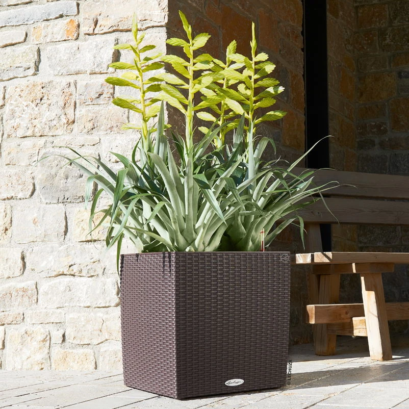 Lechuza Cube Cottage 40, Mokka, All-in-One-Set 3 Lechuza Cube Cottage 40, Mokka, All-in-One-Set